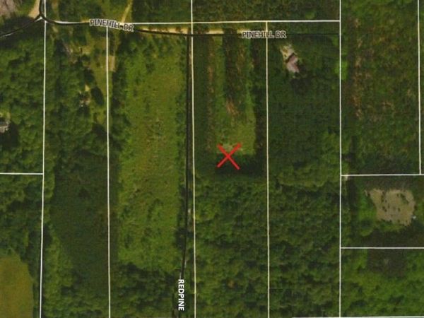 007-135-003-00 Pinehill Drive Drive, Charlevoix, MI 49720