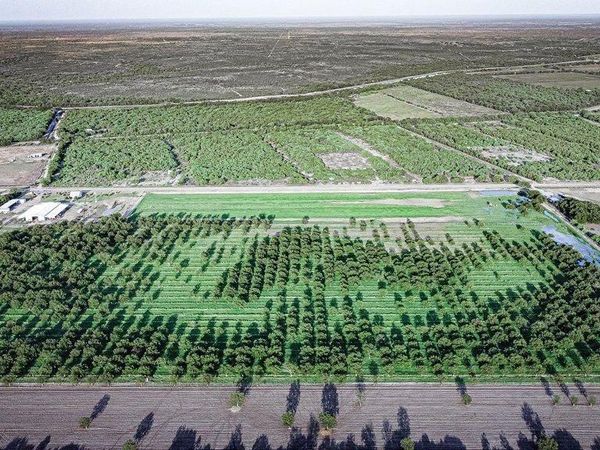 LOT C FM 1908, Quemado, TX 78877