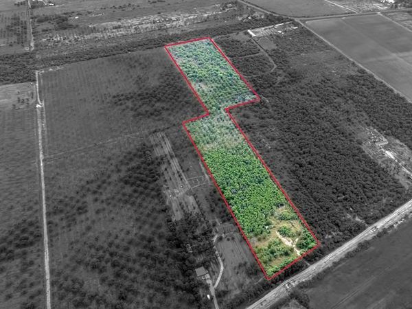 1666 FM Private Rd 100, Quemado, TX 78877