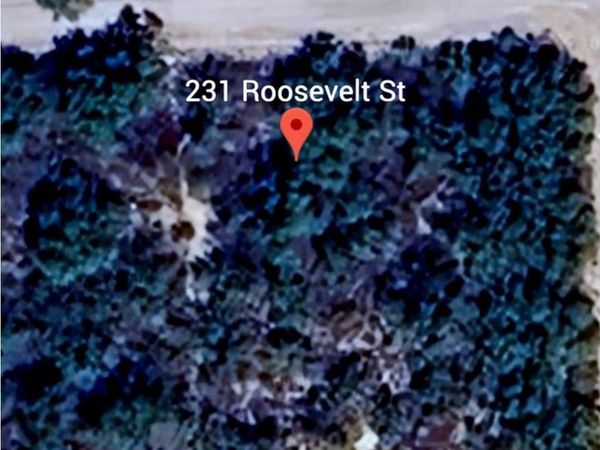 231 Roosevelt St., El Indio, TX 78860