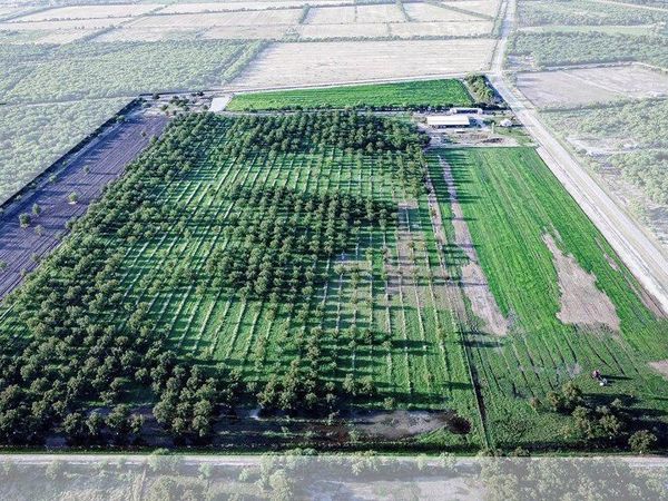 LOT B FM 1908, Quemado, TX 78877