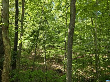 717 JEFFERSON DR , Palmyra, VA 22963