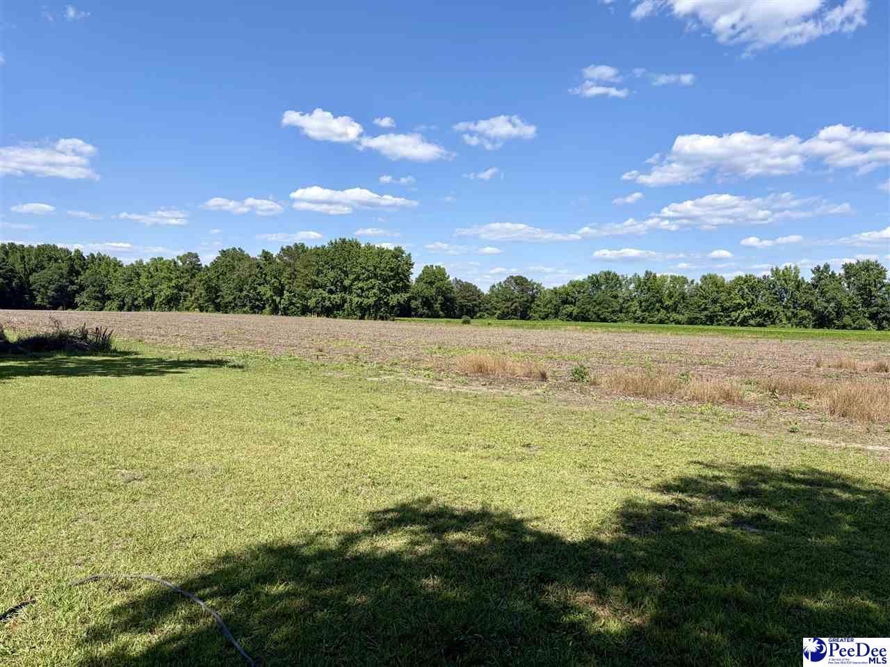 2189 N Bethel Rd Photo 7
