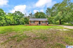 321 Mineral Springs Road photo 4