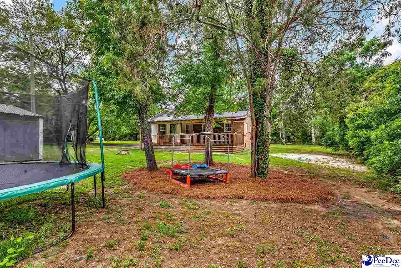 321 Mineral Springs Road Photo 35