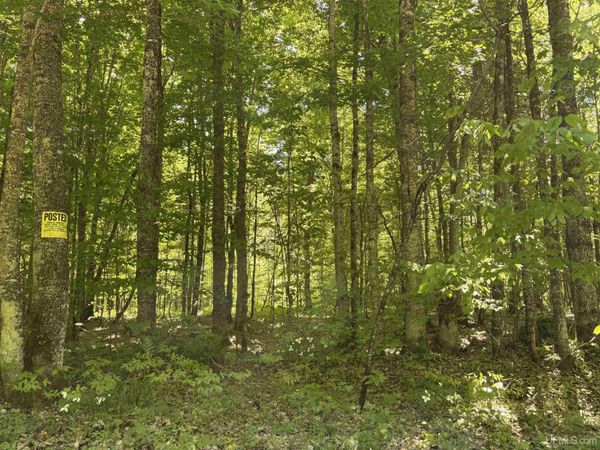 TBD Osborn Drive, McMillan Twp, MI 49853