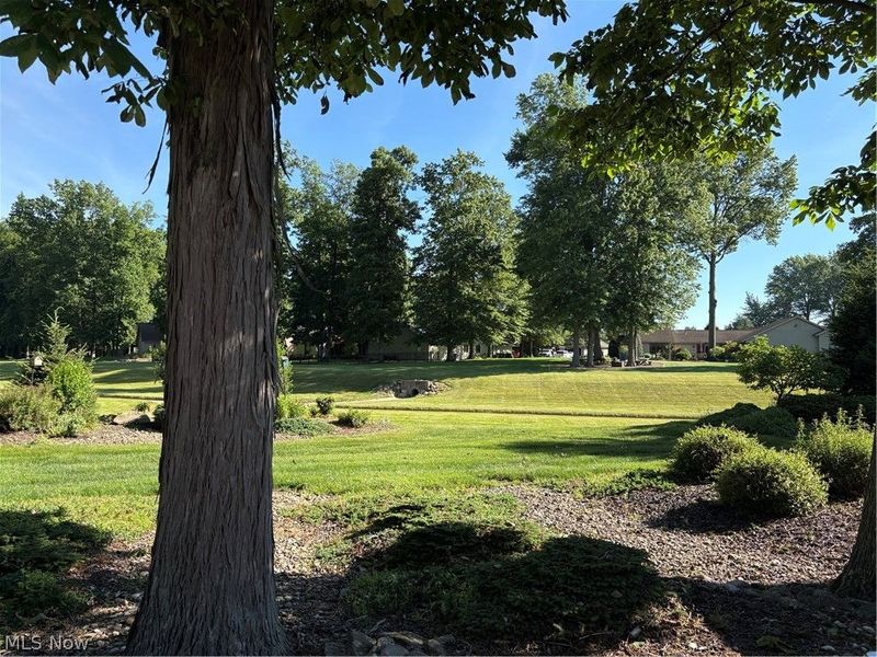 33073 Hidden Hollow Court , North Ridgeville, OH 44039 Photo 16