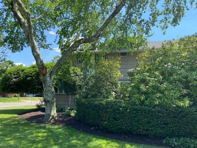 1062 Irvington Avenue NE, Massillon, OH 44646 Photo 6