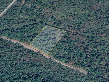 0 Olaton Road, Olation, KY 42361
