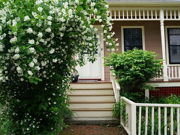 10 Mountain Ave, Somerville, MA 02143