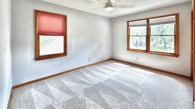 177 Winding Rock Road Photo 23