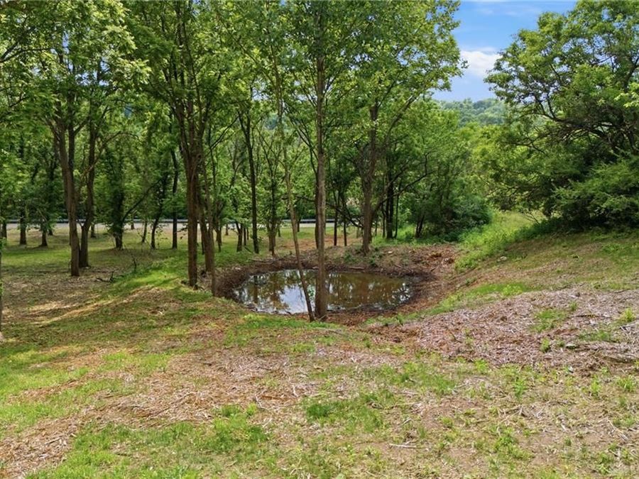 Property Image 10