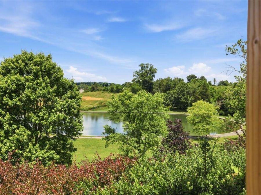 Property Image 67