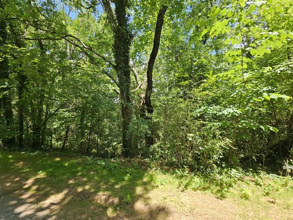 000 MICHAEL WAY, Newport, TN 37821