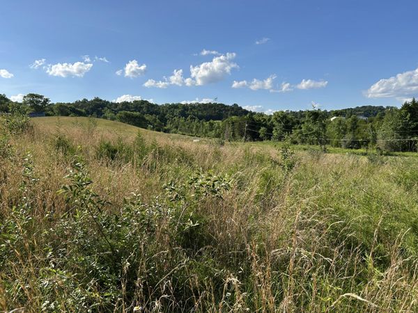 0 Old Tennessee 70, Rogersville, TN 37857