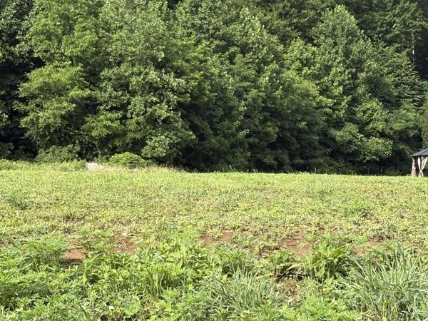187 Tennessee 32, Cosby, TN 37722