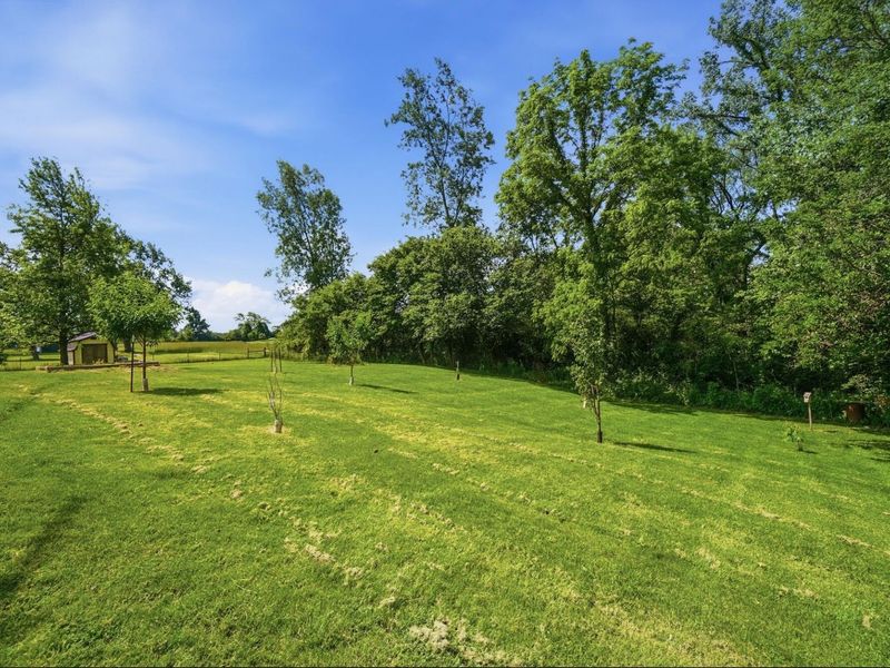 3751 Lundy Lane, London, OH 43140 Photo 48