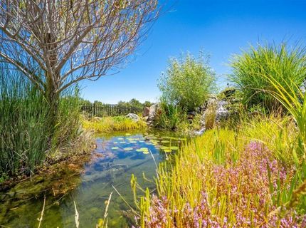 6920 Pano Ln, Somerset, CA 95684 Photo