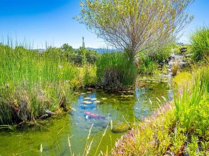 6920 Pano Ln, Somerset, CA 95684 Photo
