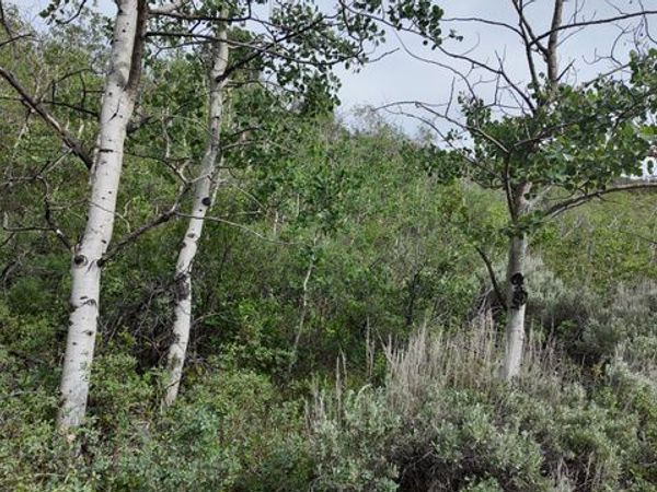 4060 WILDLIFE WAY , Unit 443, Kamas, UT 84036