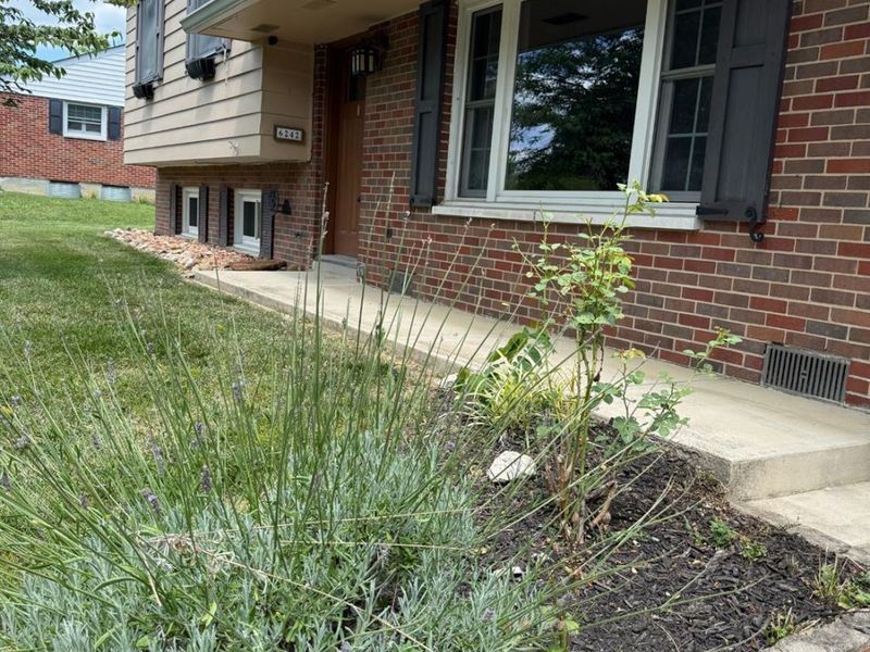 6242 Timothy Lane, Oxford, OH 45056 Photo 46