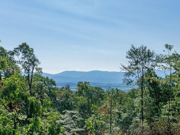 531 FOREST DRIVE EXTENSION, LURAY, VA 22835