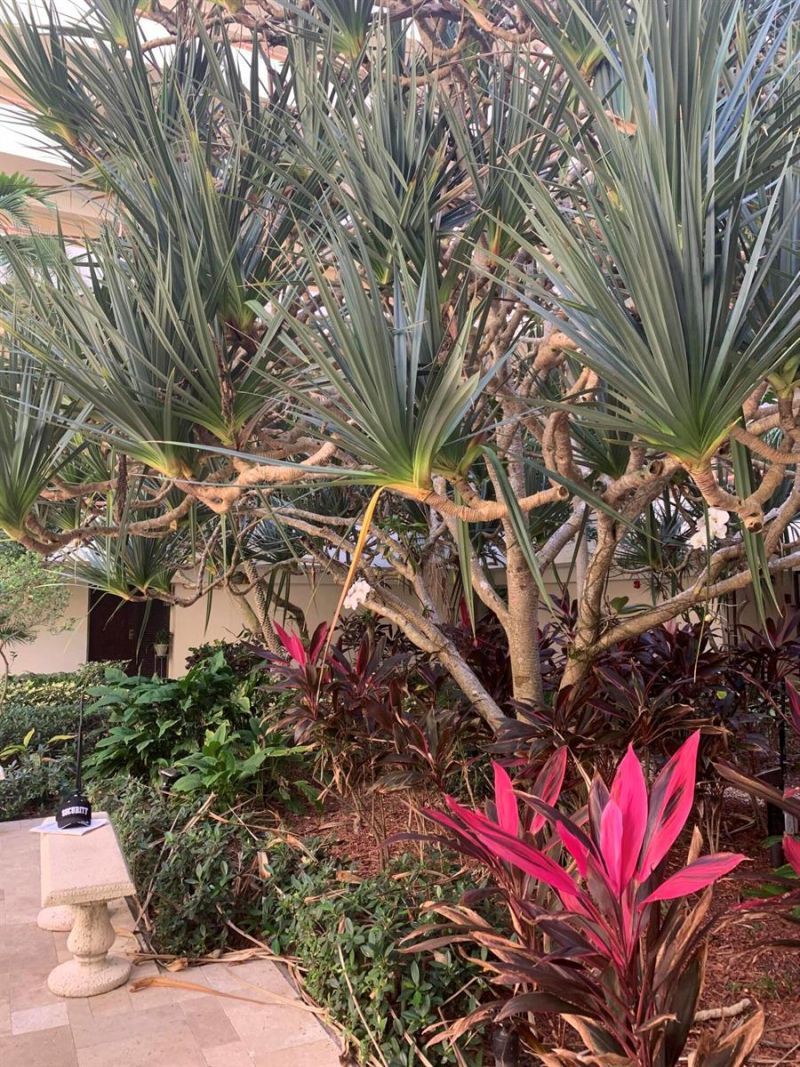 23200 Camino Del Mar , Unit 204, Boca Raton, FL 33433 Photo