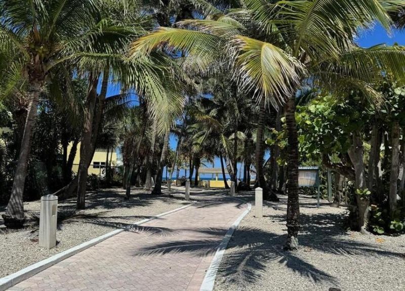 2020 Terra Mar Drive , Unit 205, Pompano Beach, FL 33062 Photo