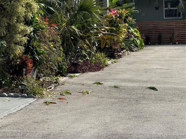 2452 Taylor Street , Unit 204, Hollywood, FL 33020