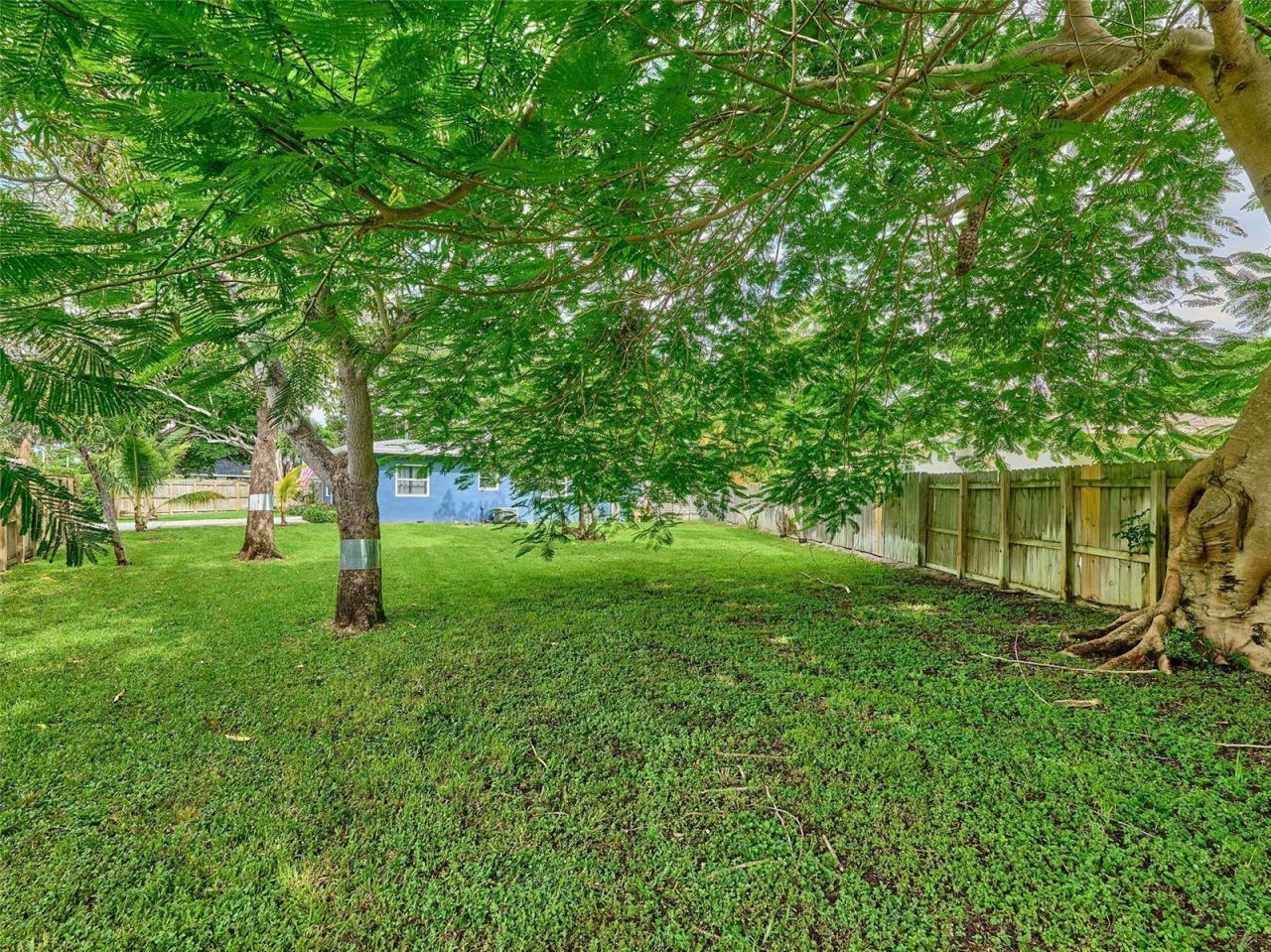 801 NE 15th Street , Fort Lauderdale, FL 33304 Photo