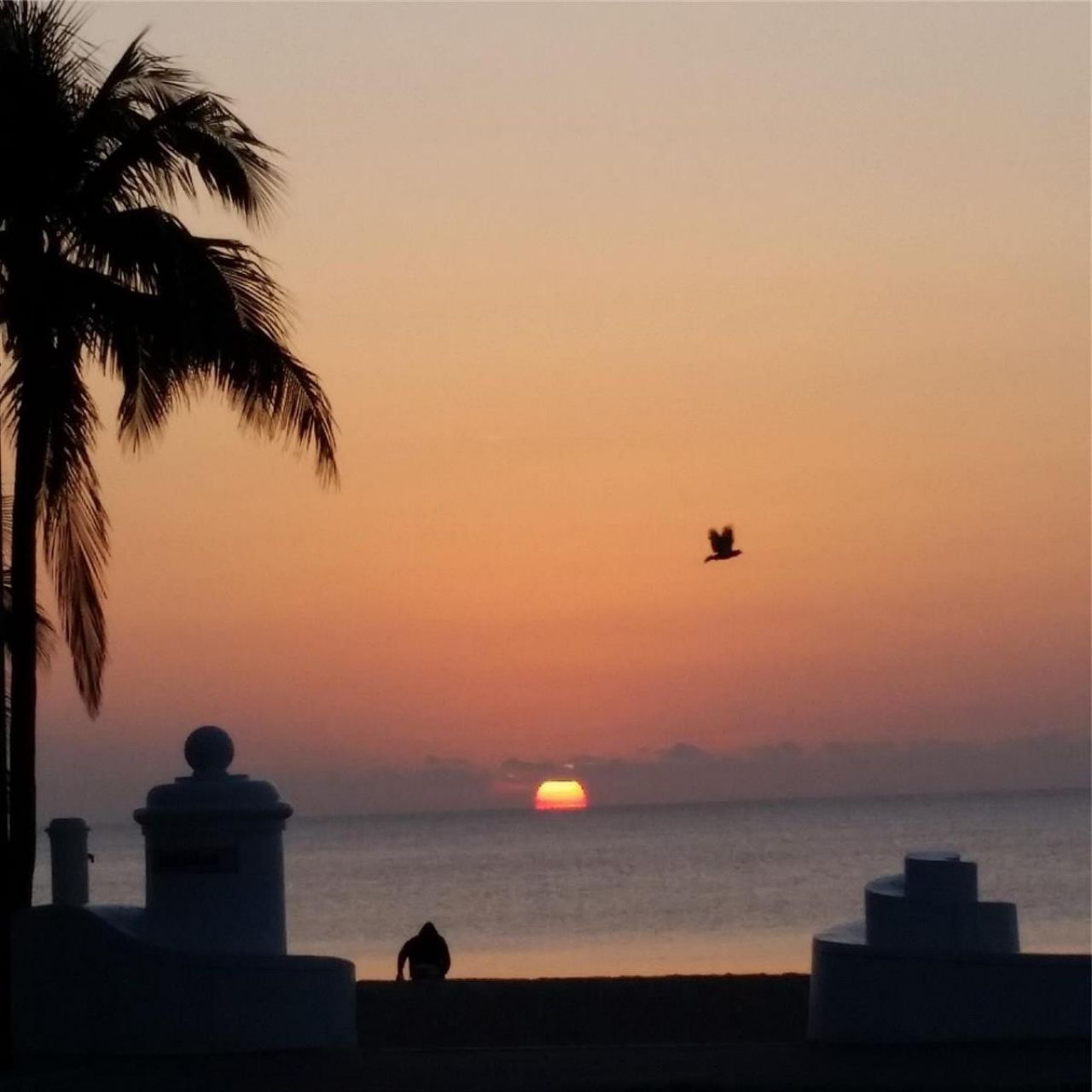 900 NE 18th Avenue , Unit 602, Fort Lauderdale, FL 33304 Photo