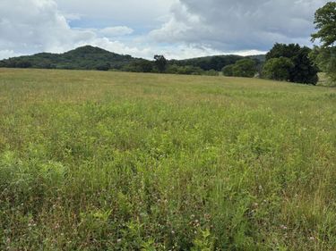 1234 Hart Pike, Owingsville, KY 40360