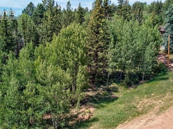 158 Rattler Court, Cripple Creek, CO 80813