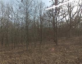 Lot 30 Montgomery Lane , Bella Vista, AR 72715 Main Photo