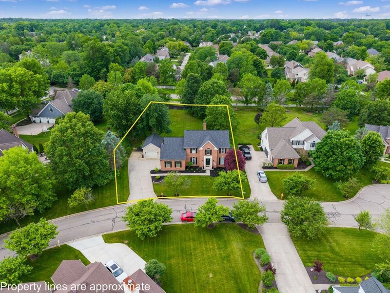 261 Cavenaugh Court, Powell, OH 43065 Photo 2