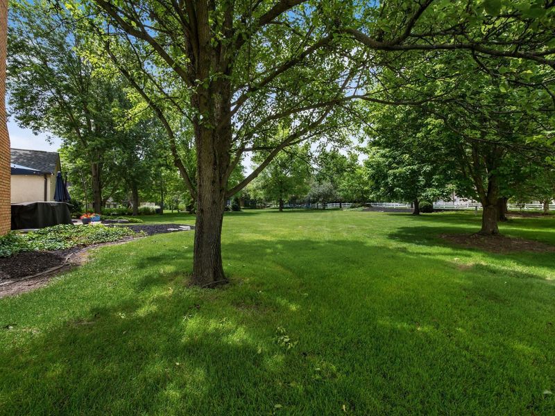 261 Cavenaugh Court, Powell, OH 43065 Photo 52