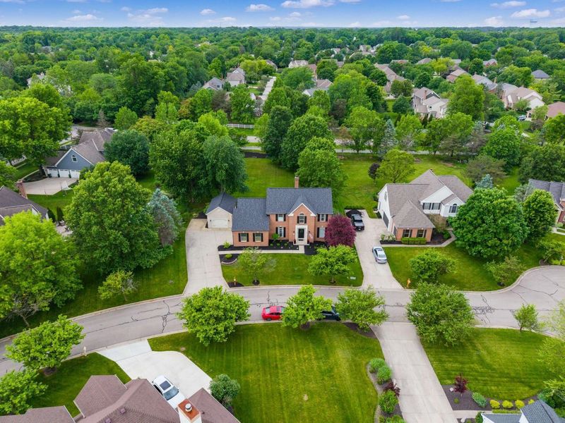 261 Cavenaugh Court, Powell, OH 43065 Photo 61