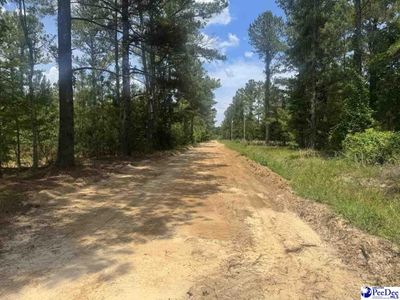 719 1/2 and 721 Ruth Rd, Coward, SC 29530