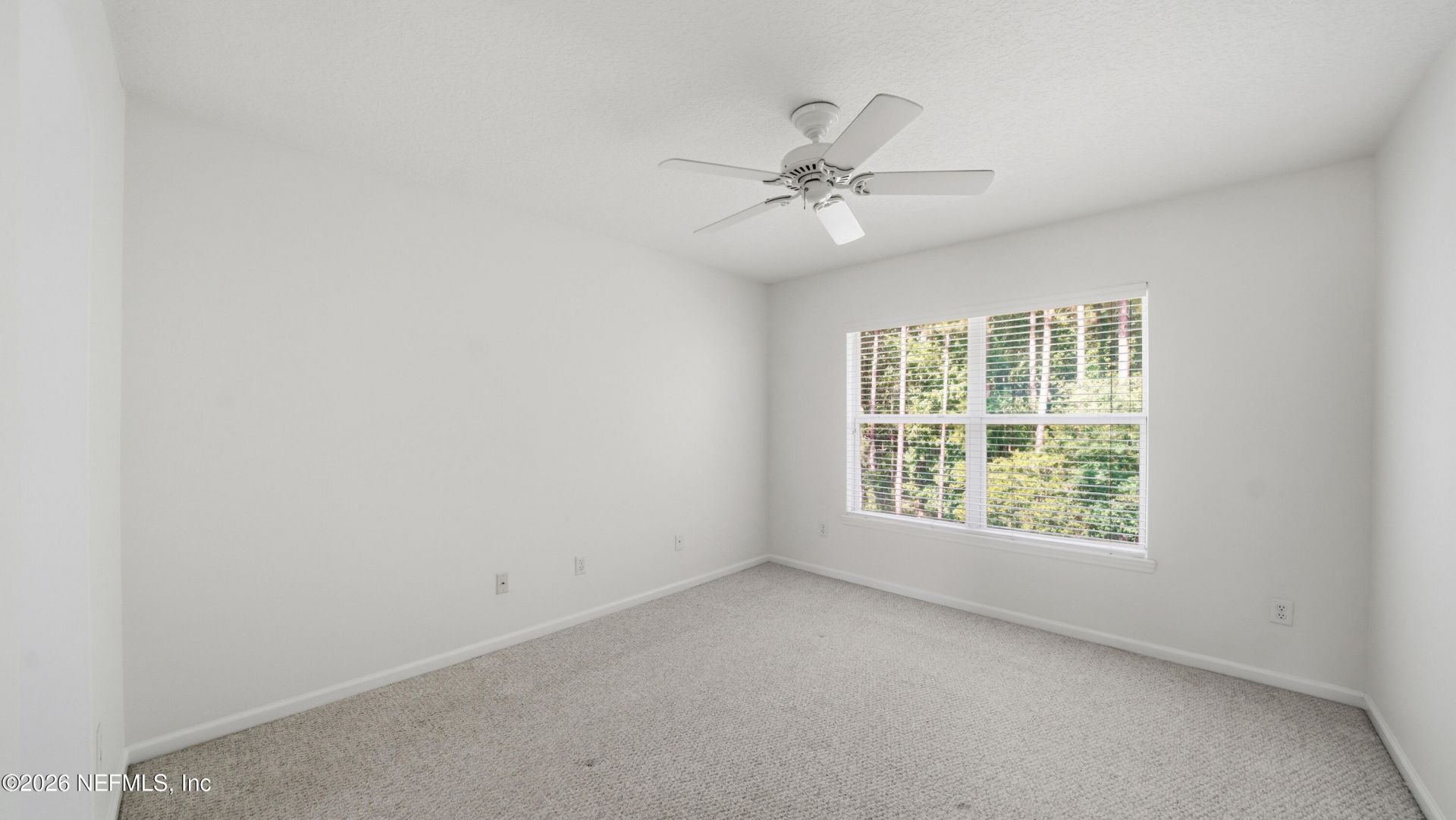 956 Candlebark Drive, Jacksonville, FL 32225 Photo