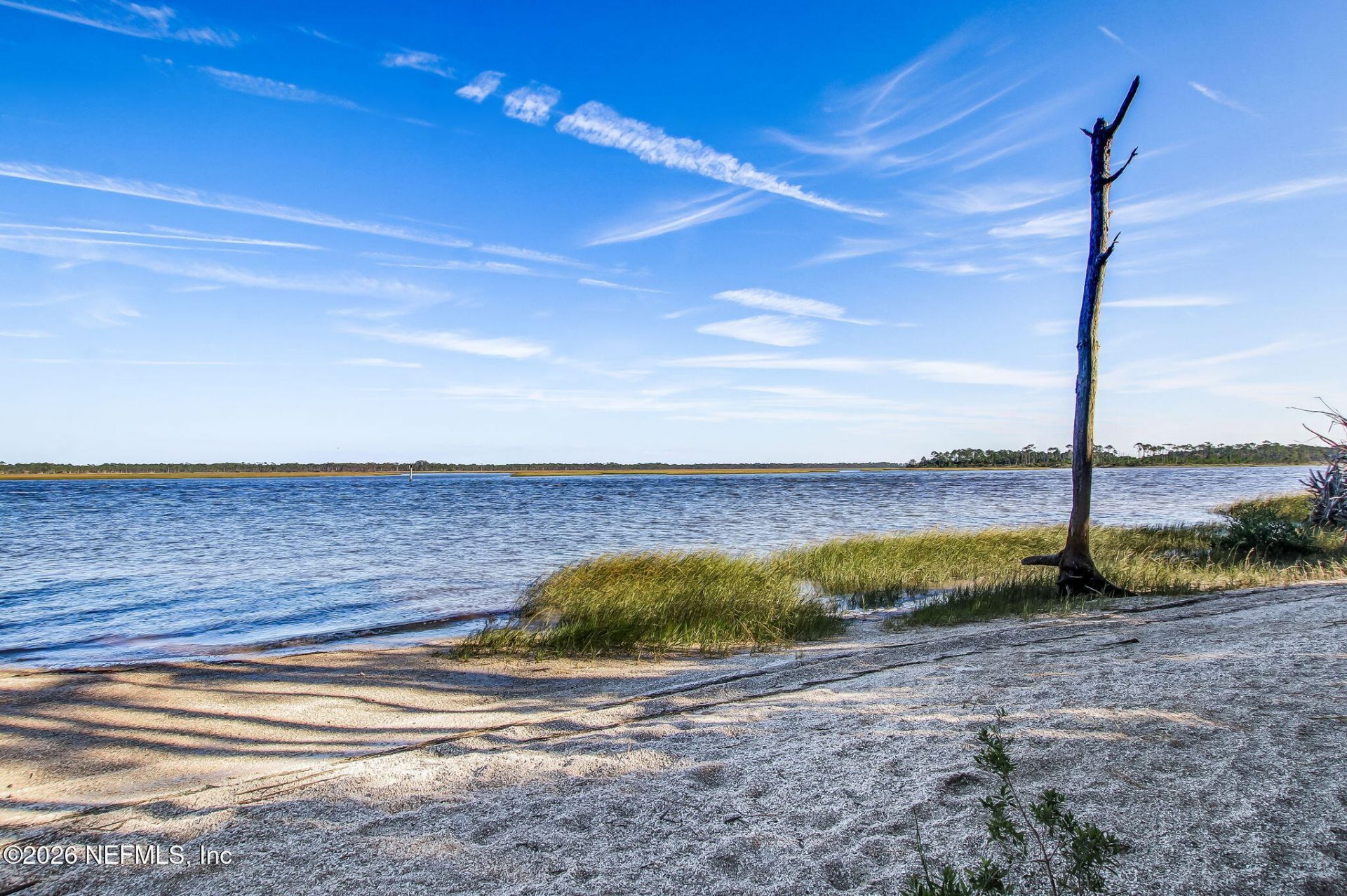 215 White Marsh Drive, Jacksonville, FL 32081 Photo