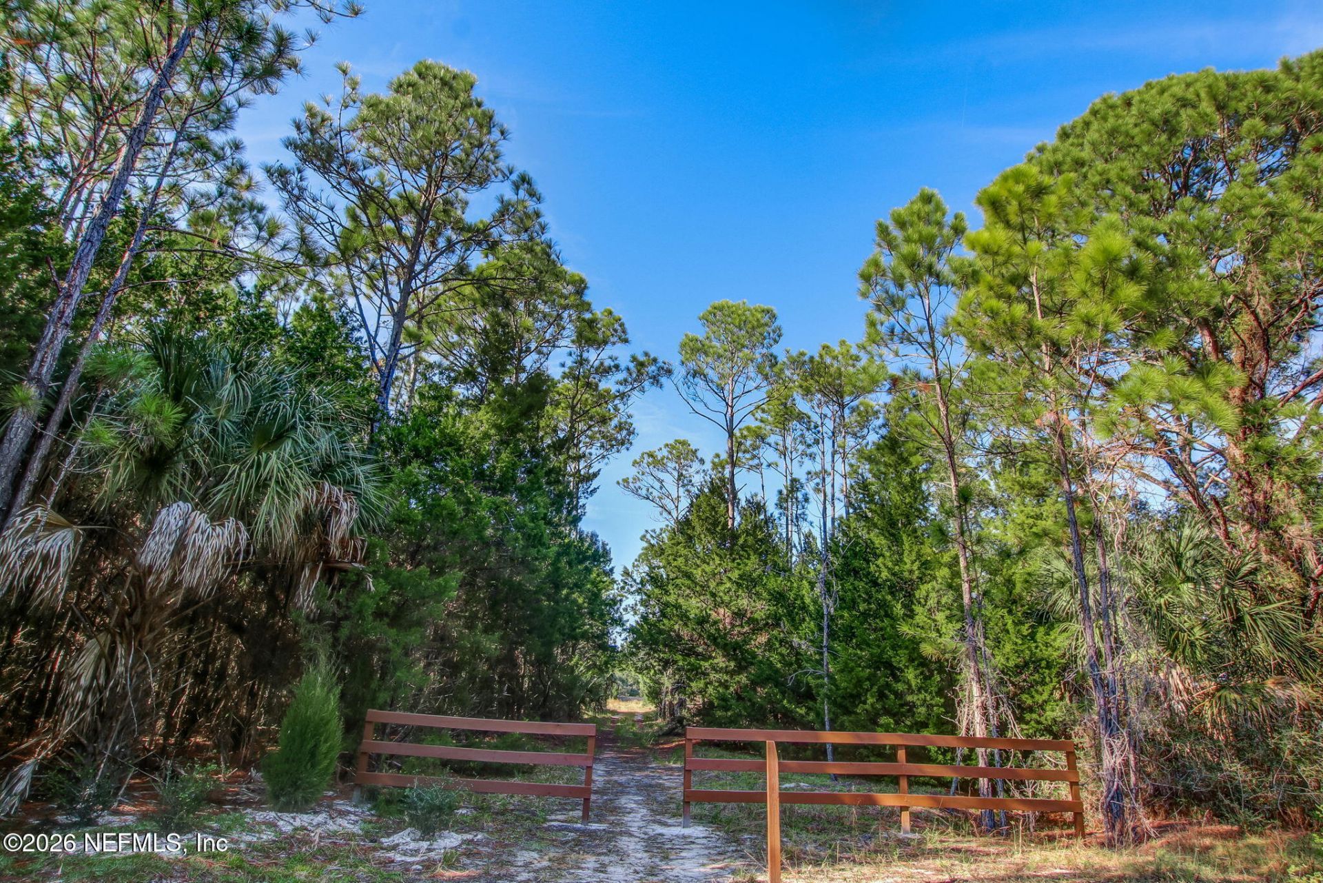 215 White Marsh Drive, Jacksonville, FL 32081 Photo