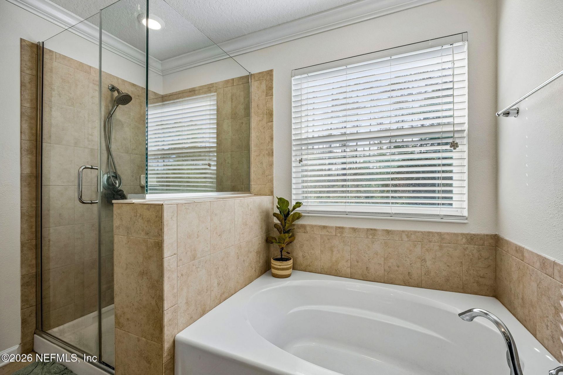 215 White Marsh Drive, Jacksonville, FL 32081 Photo