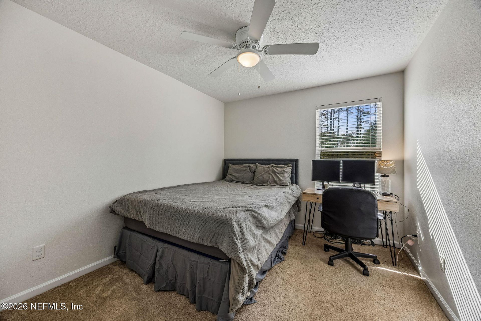 215 White Marsh Drive, Jacksonville, FL 32081 Photo