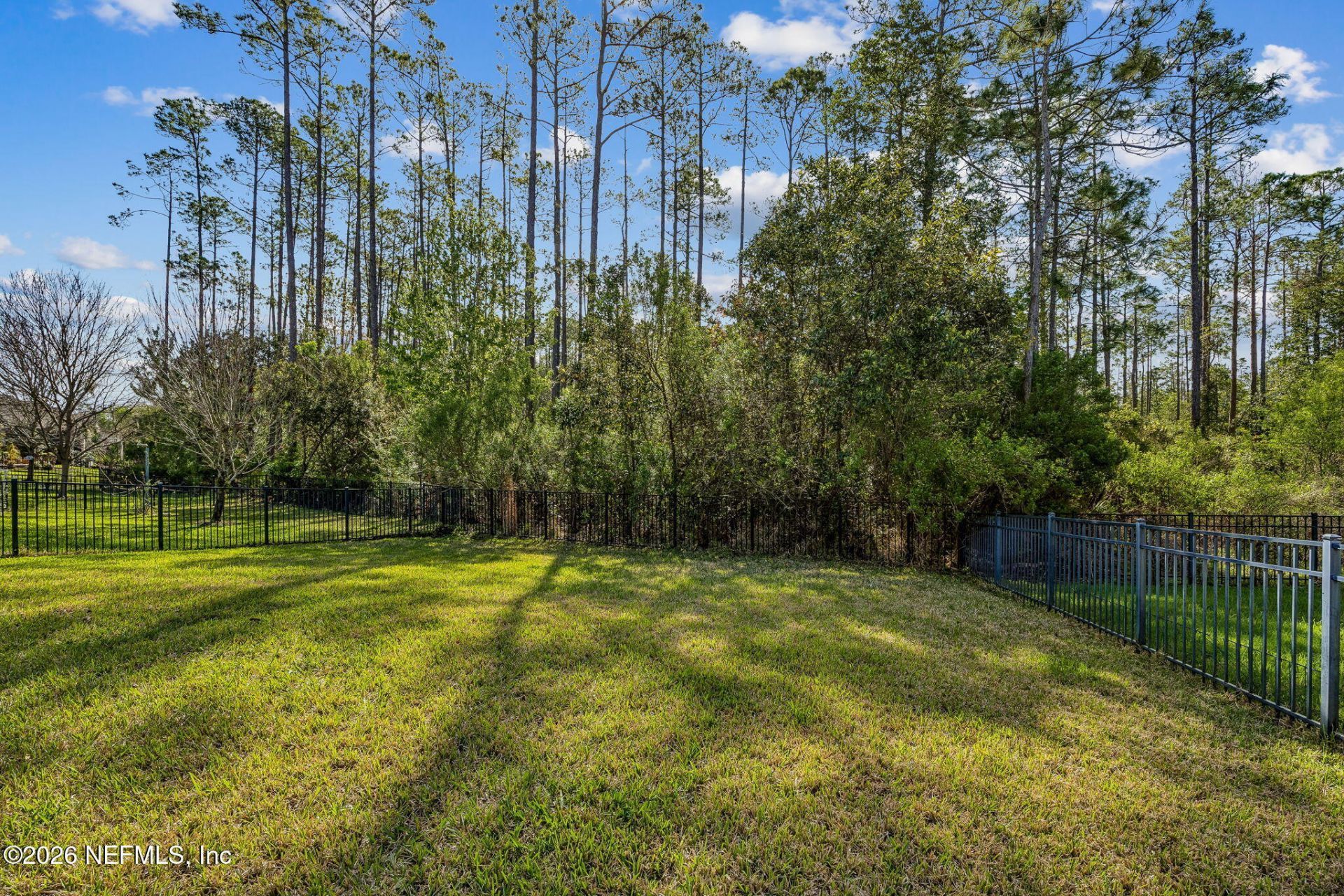 215 White Marsh Drive, Jacksonville, FL 32081 Photo