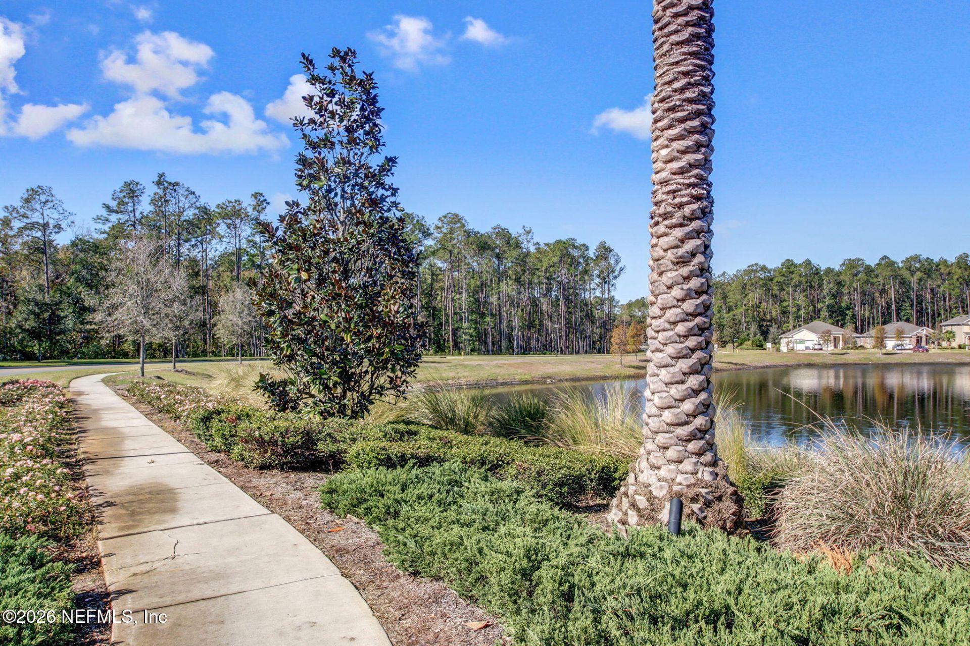 215 White Marsh Drive, Jacksonville, FL 32081 Photo