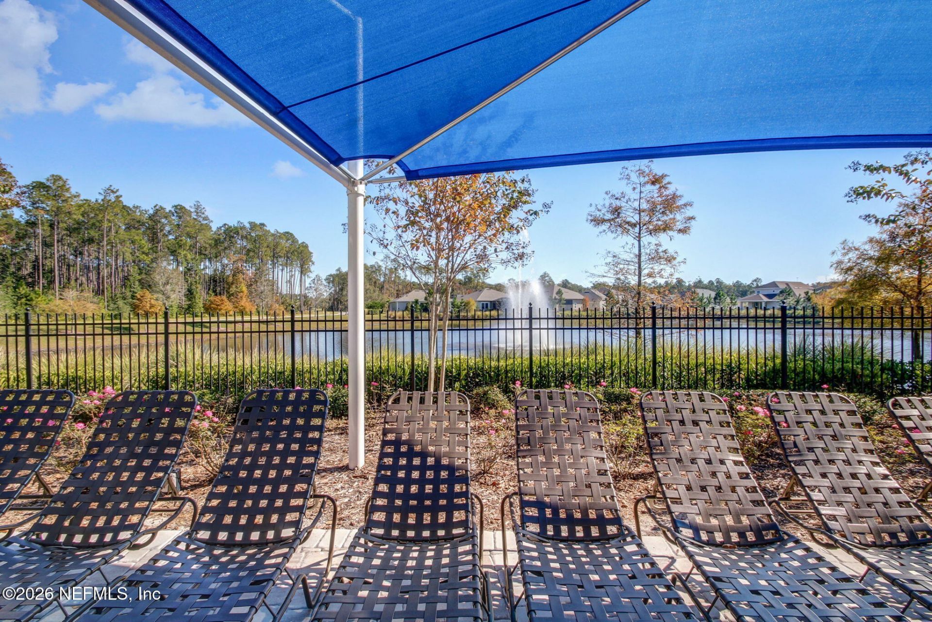 215 White Marsh Drive, Jacksonville, FL 32081 Photo