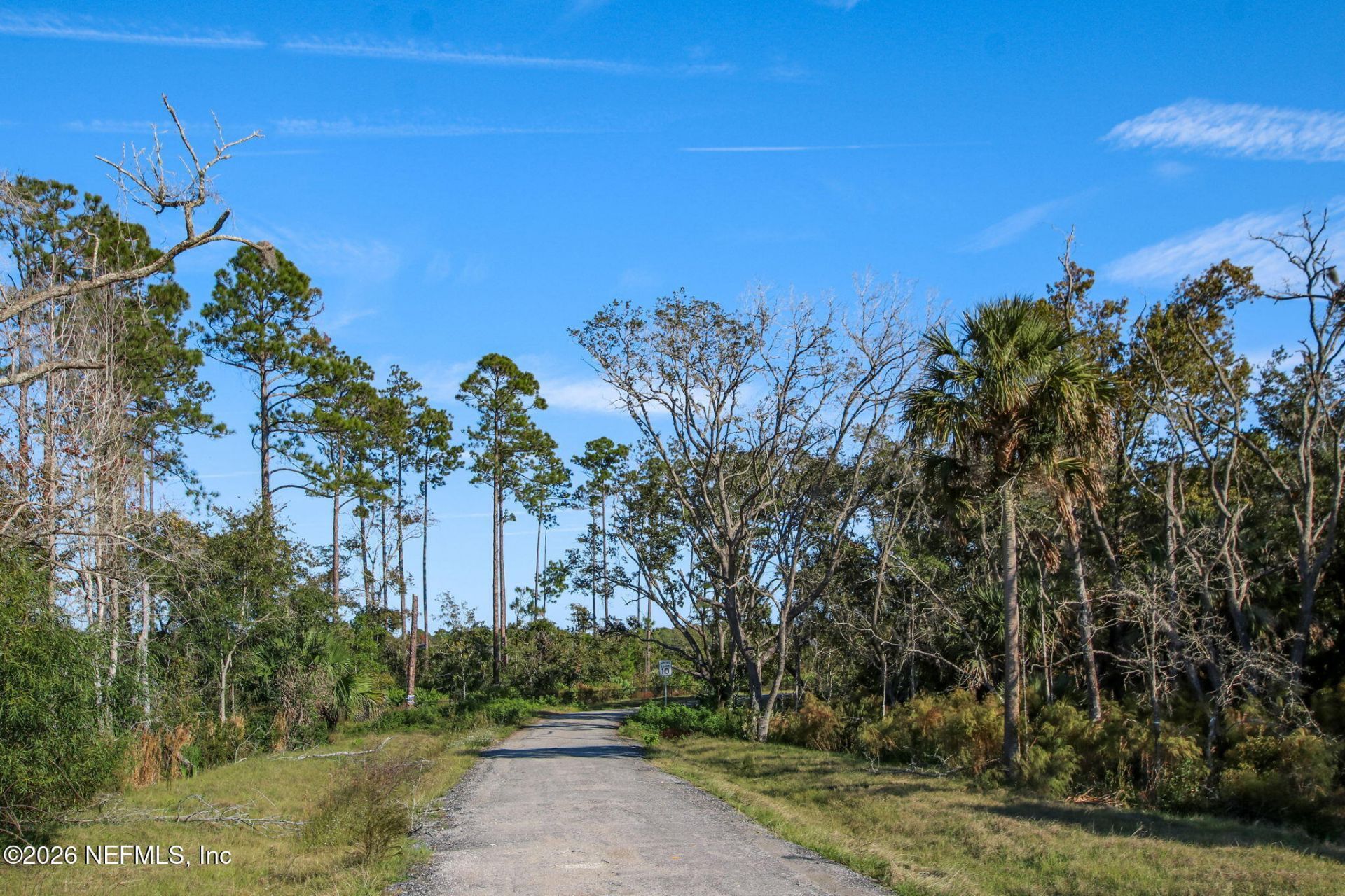 215 White Marsh Drive, Jacksonville, FL 32081 Photo
