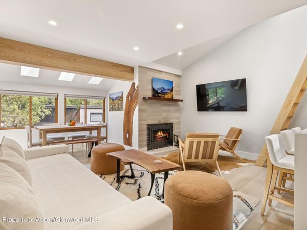910 W Hallam Street, Unit 9, Aspen, CO 81611