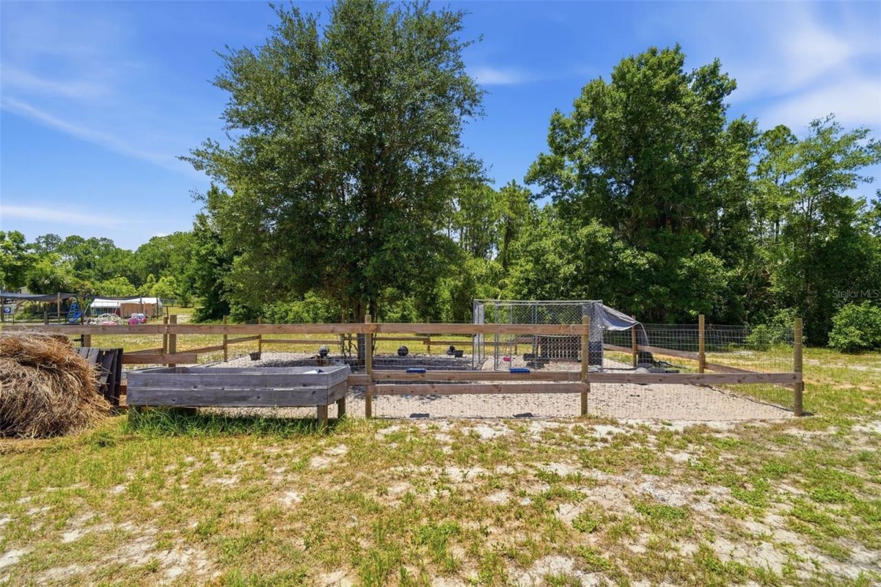 7242 Black Road, Lake Wales, FL 33898 Photo