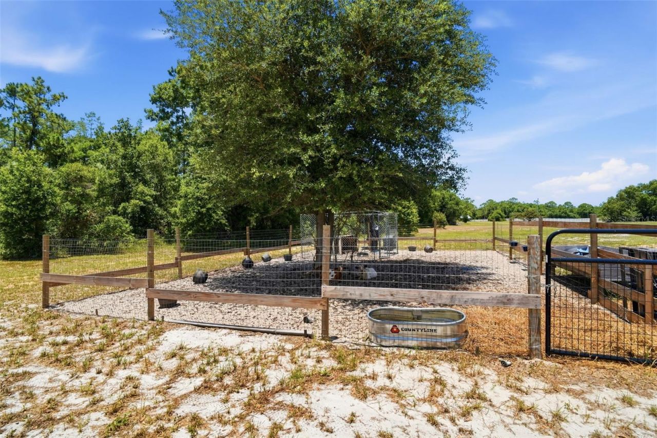 7242 Black Road, Lake Wales, FL 33898 Photo